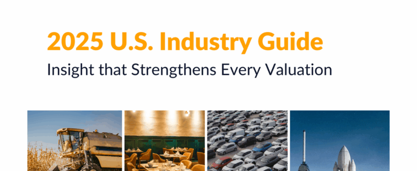 US Industry Guide 2025